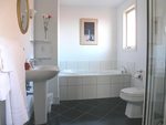 Forest bathroom